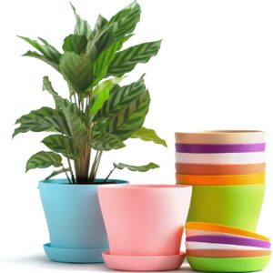 Codream Plastic Plant Pot (8 Pieces)